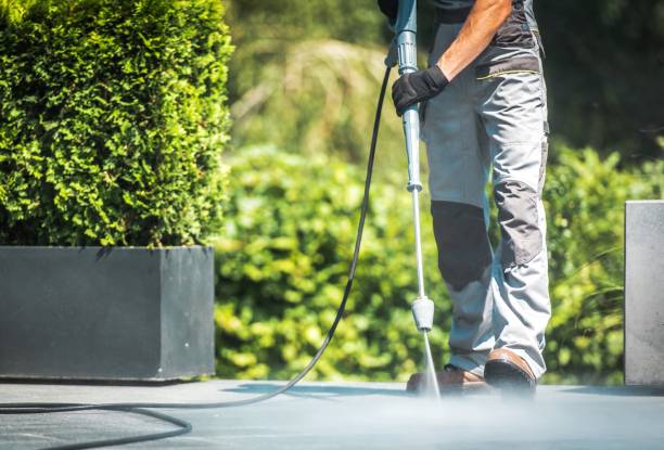 Best Rust Removal  in Whiteville, TN