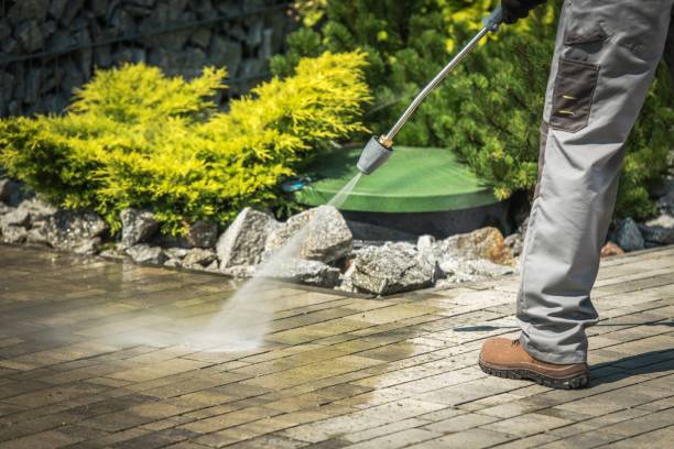Best Sidewalk and Walkway Cleaning  in Whiteville, TN