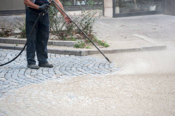 Best Gutter Cleaning  in Whiteville, TN