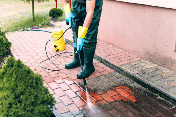 Best Animal Enclosure Cleaning  in Whiteville, TN