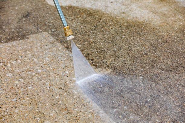 Best Warehouse Cleaning  in Whiteville, TN