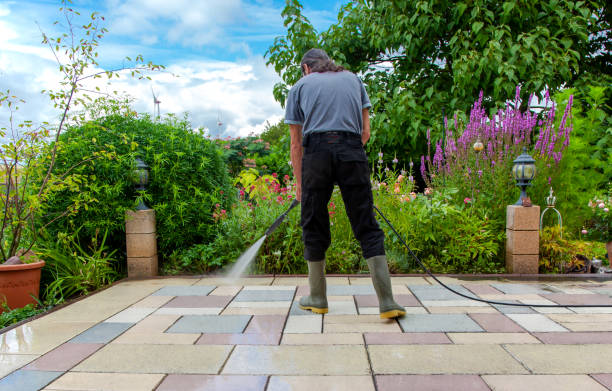 Best Fence Cleaning  in Whiteville, TN