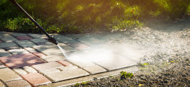 Best Soft Washing  in Whiteville, TN