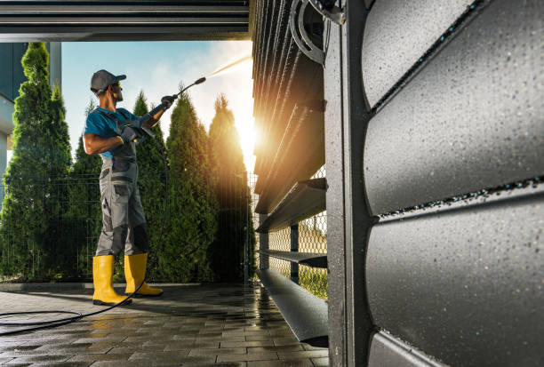 Best Graffiti Removal  in Whiteville, TN