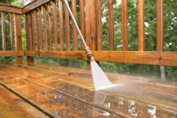 Best Driveway Pressure Washing  in Whiteville, TN