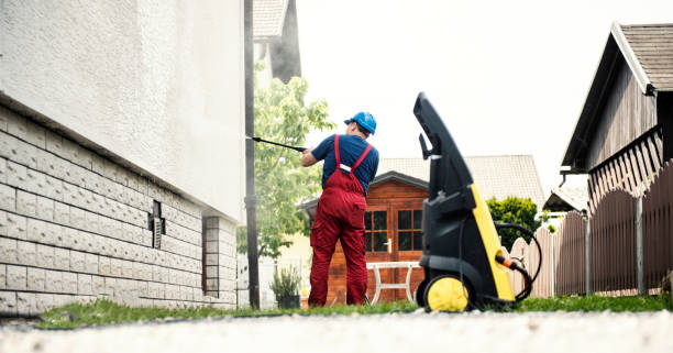 Best Patio and Deck Pressure Washing  in Whiteville, TN